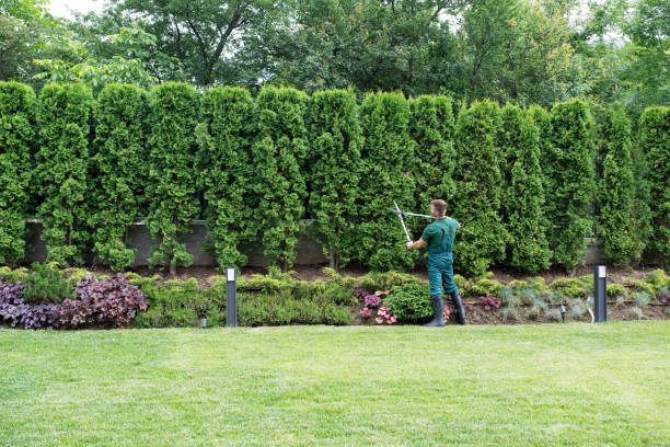 Trusted Lambertville, MI Tree Removal and Landscaping Services Experts